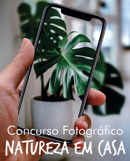 Concurso Fotográfico Natureza em Casa