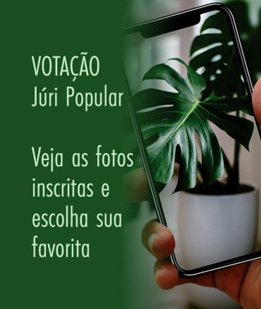 Votação Concurso Fotográfico