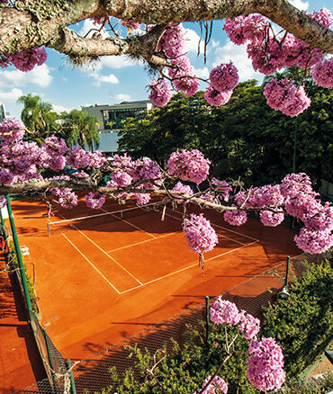 clube-paulistano-dia-da-arvore
