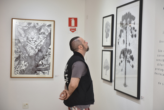 Foto da galeria