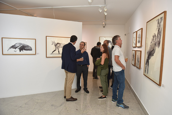 Foto da galeria