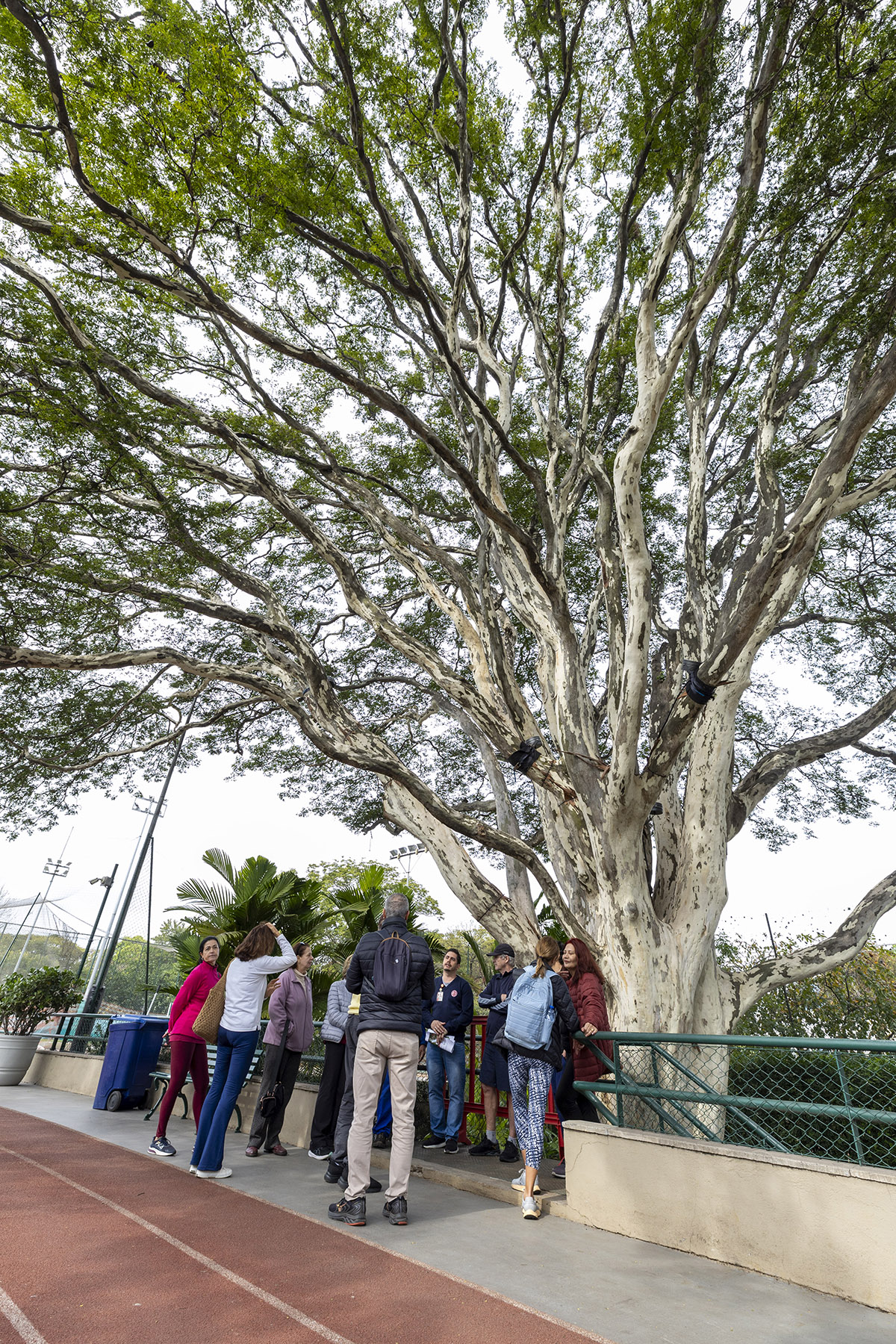 Foto da galeria