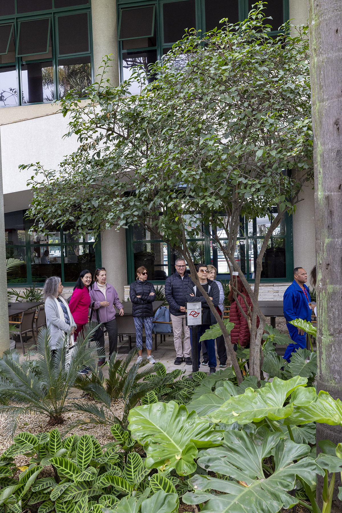 Foto da galeria
